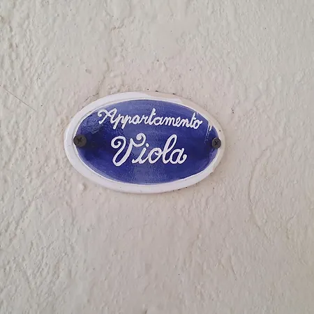 Aparthotel Roccetta Fiorita Pettenasco